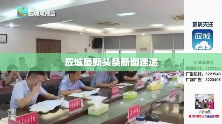 應(yīng)城最新頭條新聞速遞