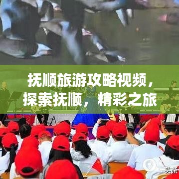 撫順旅游攻略視頻，探索撫順，精彩之旅不容錯過