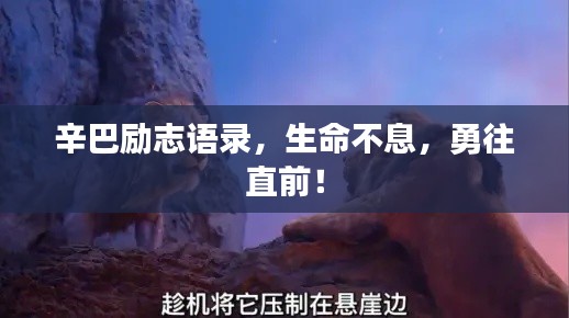 辛巴勵志語錄，生命不息，勇往直前！