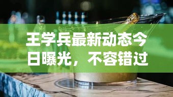 王學(xué)兵最新動態(tài)今日曝光，不容錯過！