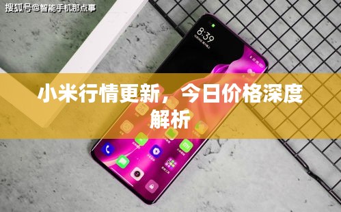 小米行情更新，今日價格深度解析