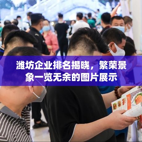 濰坊企業(yè)排名揭曉，繁榮景象一覽無余的圖片展示