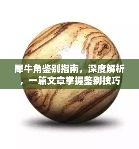 犀牛角鑒別指南，深度解析，一篇文章掌握鑒別技巧