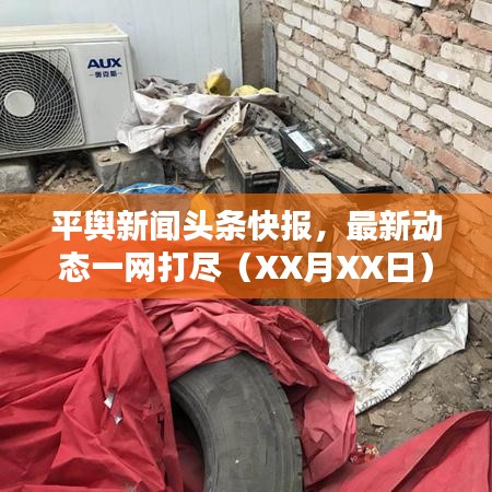 平輿新聞?lì)^條快報(bào)，最新動(dòng)態(tài)一網(wǎng)打盡（XX月XX日）