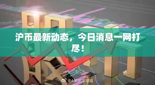 滬幣最新動(dòng)態(tài)，今日消息一網(wǎng)打盡！