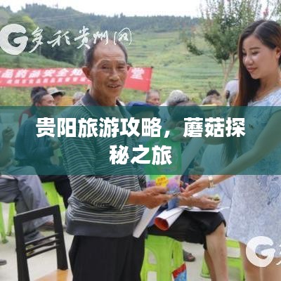 貴陽旅游攻略，蘑菇探秘之旅