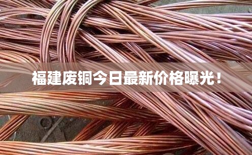 福建廢銅今日最新價(jià)格曝光！