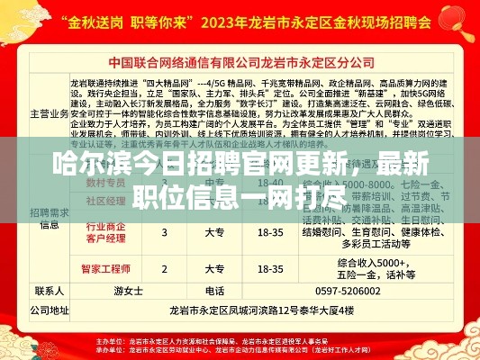 哈爾濱今日招聘官網(wǎng)更新，最新職位信息一網(wǎng)打盡