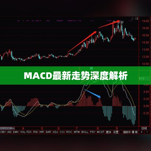 MACD最新走勢深度解析