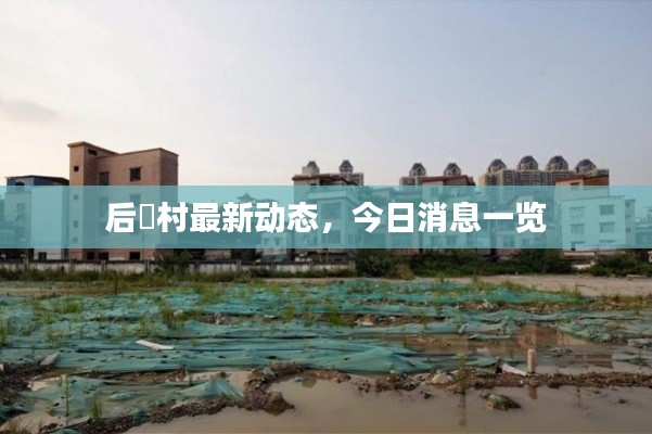后滘村最新動態(tài)，今日消息一覽