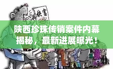 陜西珍珠傳銷案件內(nèi)幕揭秘，最新進(jìn)展曝光！