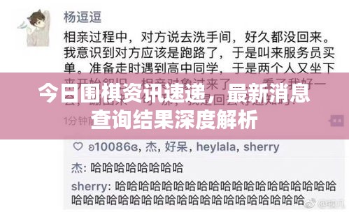 今日圍棋資訊速遞，最新消息查詢結(jié)果深度解析