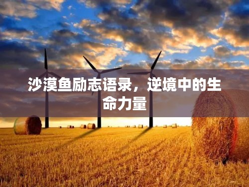 沙漠魚勵志語錄，逆境中的生命力量