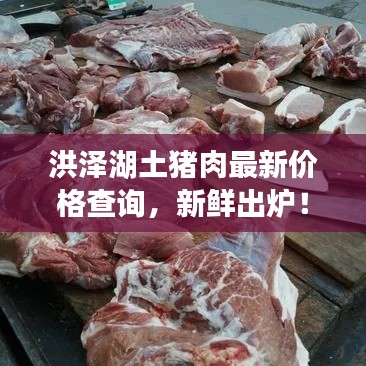 目不轉(zhuǎn)睛 第2頁