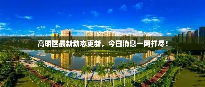 高明區(qū)最新動態(tài)更新，今日消息一網(wǎng)打盡！