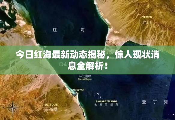 貴在知心 第3頁