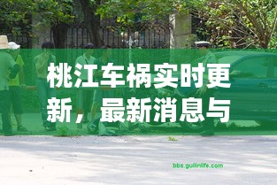 桃江車禍實(shí)時(shí)更新，最新消息與現(xiàn)場(chǎng)情況揭秘