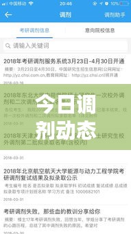 今日調(diào)劑動(dòng)態(tài)速遞，最新消息全面解析