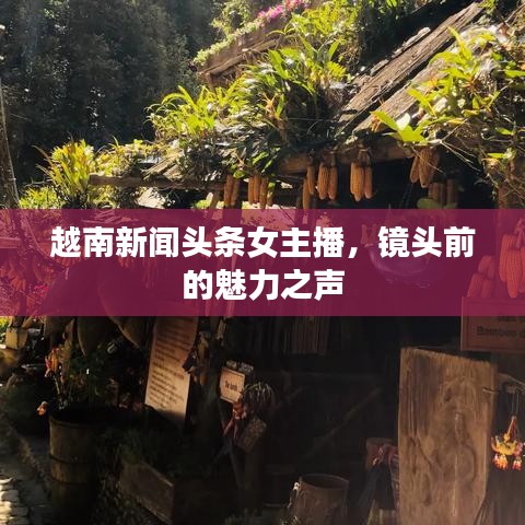 越南新聞頭條女主播，鏡頭前的魅力之聲