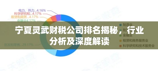 寧夏靈武財(cái)稅公司排名揭秘，行業(yè)分析及深度解讀