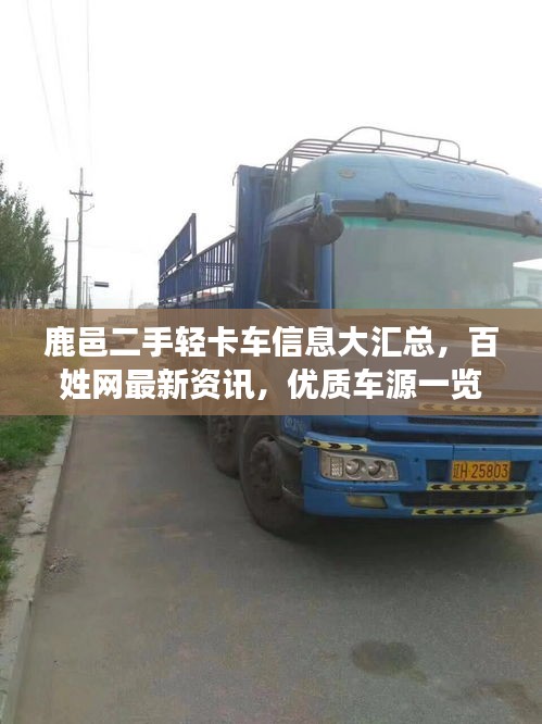 精耕細(xì)作 第3頁