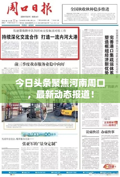 今日頭條聚焦河南周口，最新動態(tài)報道！