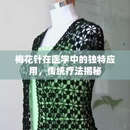 鳥語蟬鳴 第3頁