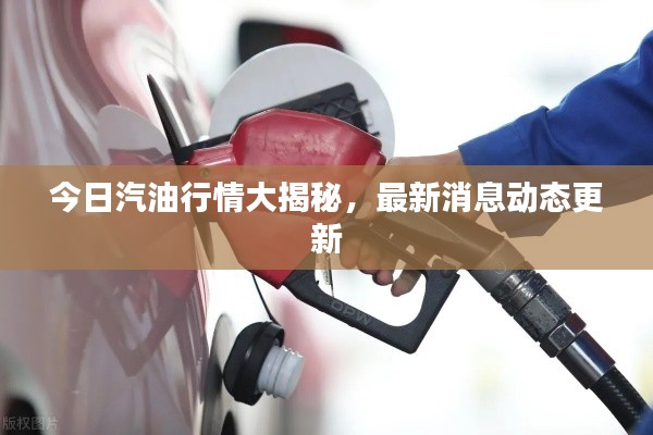 今日汽油行情大揭秘，最新消息動態(tài)更新