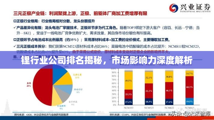 鋰行業(yè)公司排名揭秘，市場(chǎng)影響力深度解析