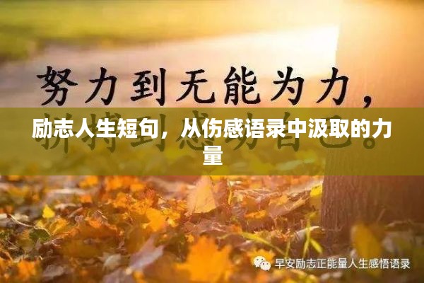 勵志人生短句，從傷感語錄中汲取的力量