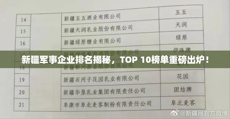 新疆軍事企業(yè)排名揭秘，TOP 10榜單重磅出爐！