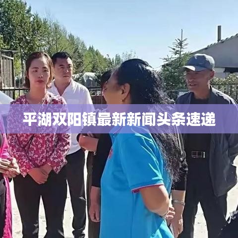 平湖雙陽鎮(zhèn)最新新聞頭條速遞