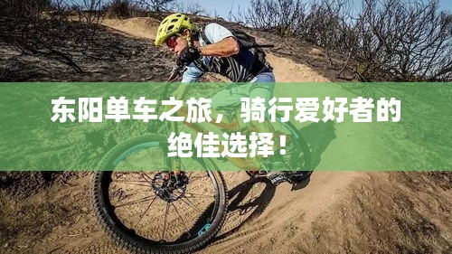 東陽單車之旅，騎行愛好者的絕佳選擇！