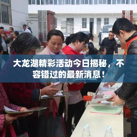 大龍湖精彩活動今日揭秘，不容錯過的最新消息！