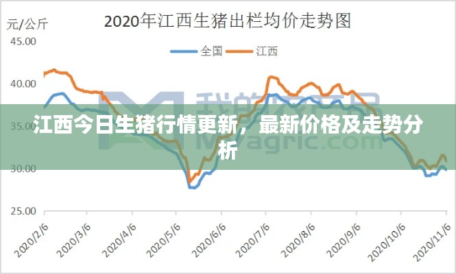 江西今日生豬行情更新，最新價格及走勢分析