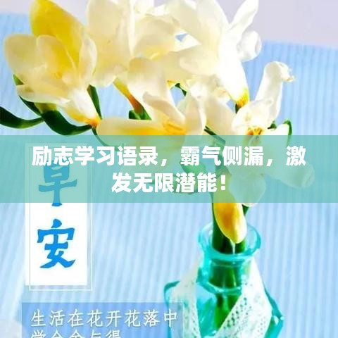 勵(lì)志學(xué)習(xí)語錄，霸氣側(cè)漏，激發(fā)無限潛能！