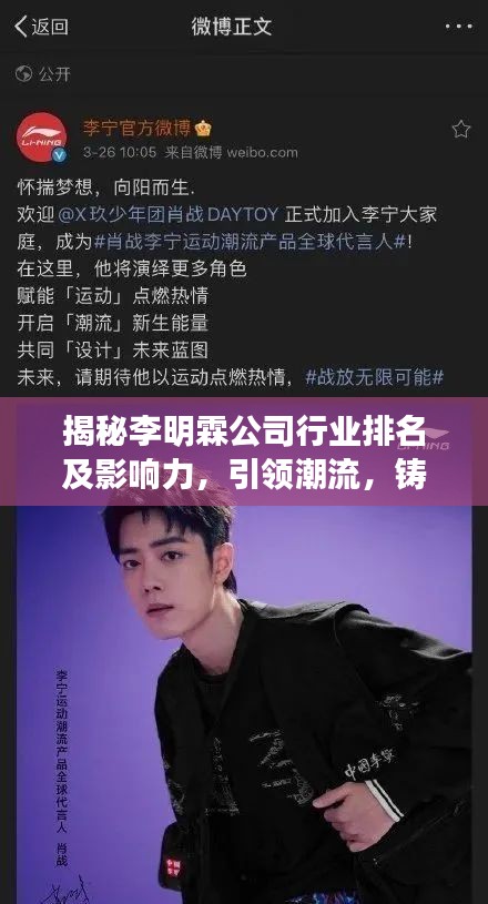 揭秘李明霖公司行業(yè)排名及影響力，引領潮流，鑄就傳奇！