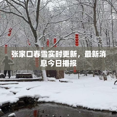 張家口春雪實時更新，最新消息今日播報