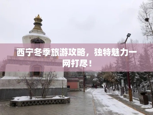 西寧冬季旅游攻略，獨(dú)特魅力一網(wǎng)打盡！