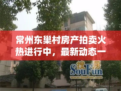 常州東巢村房產(chǎn)拍賣火熱進(jìn)行中，最新動(dòng)態(tài)一網(wǎng)打盡