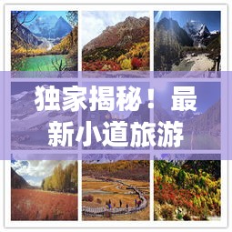 獨(dú)家揭秘！最新小道旅游攻略大全，帶你暢游未知美景