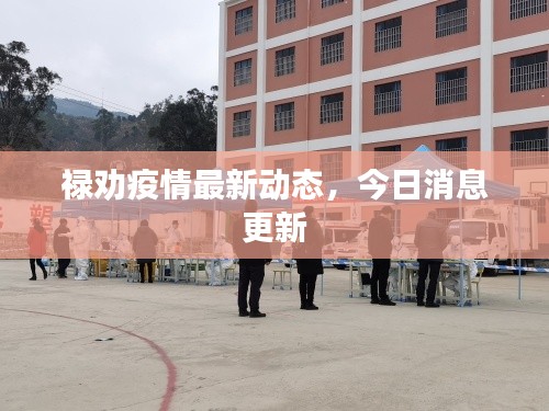 祿勸疫情最新動(dòng)態(tài)，今日消息更新