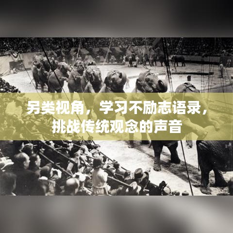 另類視角，學(xué)習(xí)不勵志語錄，挑戰(zhàn)傳統(tǒng)觀念的聲音