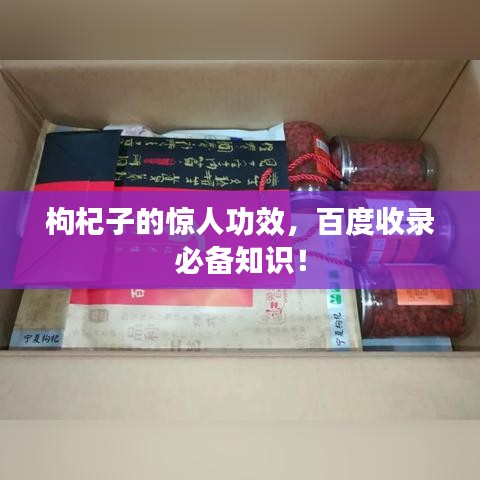 枸杞子的驚人功效，百度收錄必備知識！