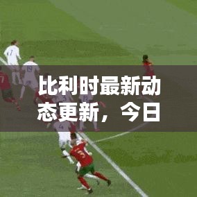 比利時最新動態(tài)更新，今日狀況揭秘！