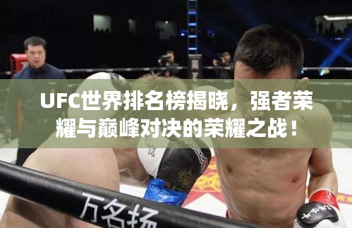 UFC世界排名榜揭曉，強(qiáng)者榮耀與巔峰對(duì)決的榮耀之戰(zhàn)！