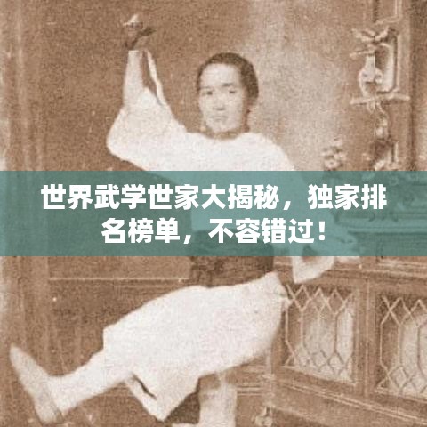 世界武學(xué)世家大揭秘，獨(dú)家排名榜單，不容錯(cuò)過！