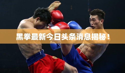 黑拳最新今日頭條消息揭秘！