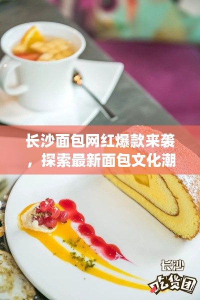 長(zhǎng)沙面包網(wǎng)紅爆款來(lái)襲，探索最新面包文化潮流
