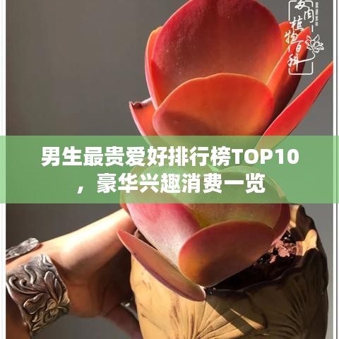 男生最貴愛好排行榜TOP10，豪華興趣消費(fèi)一覽